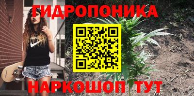 СК Заволжье