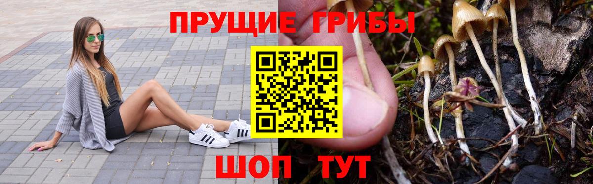 Майский  Псилоцибиновые грибы Psilocybe  Вход с VPN 